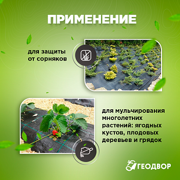 Агроткань 100 гр, PP, 1,6х100
