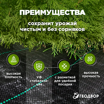 Агроткань 100 гр, PP, 1,6х100