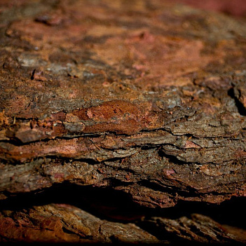 Кора лиственницы большая (более 10 см), 60 л. в мешке