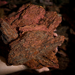 Кора лиственницы большая (более 10 см), 60 л. в мешке