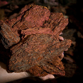 Кора лиственницы большая (более 10 см), 60 л. в мешке