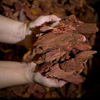 Кора лиственницы крупная фракция 6-10 см, 60 л. в мешке